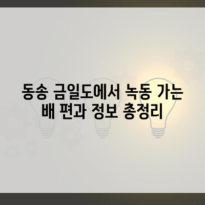 동송 금일도에서 녹동 가는 배 편과 정보 총정리