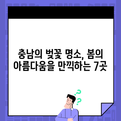 충남의 벚꽃 명소, 봄의 아름다움을 만끽하는 7곳