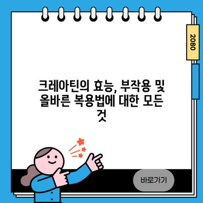 크레아틴의 효능, 부작용 및 올바른 복용법에 대한 모든 것