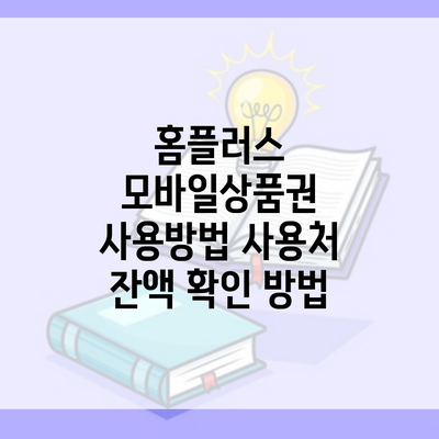 홈플러스 모바일상품권 사용방법 사용처 잔액 확인 방법