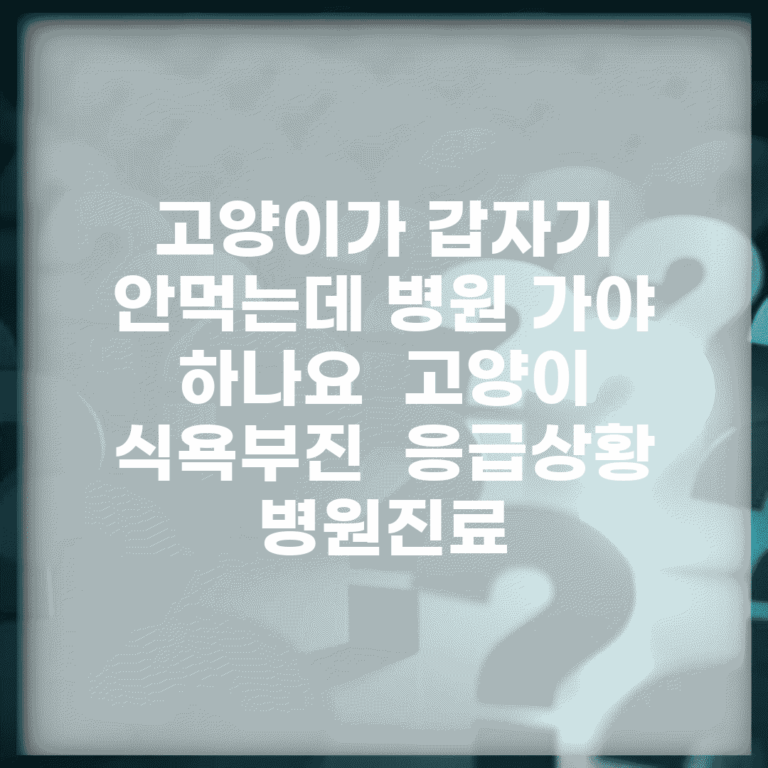 고양이가 갑자기 안먹는데 병원 가야 하나요 | 고양이 식욕부진 | 응급상황 | 병원진료