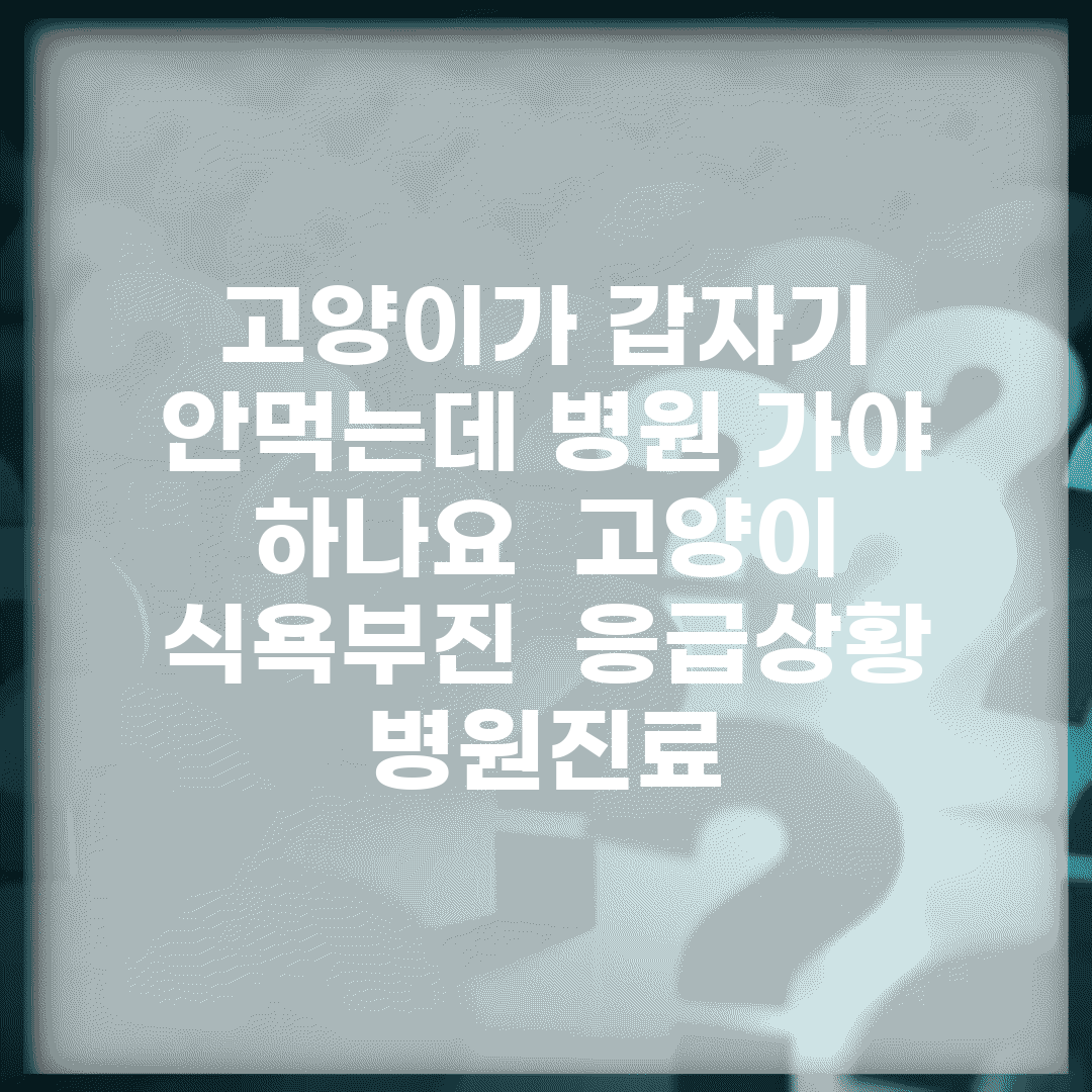 고양이가 갑자기 안먹는데 병원 가야 하나요 | 고양이 식욕부진 | 응급상황 | 병원진료