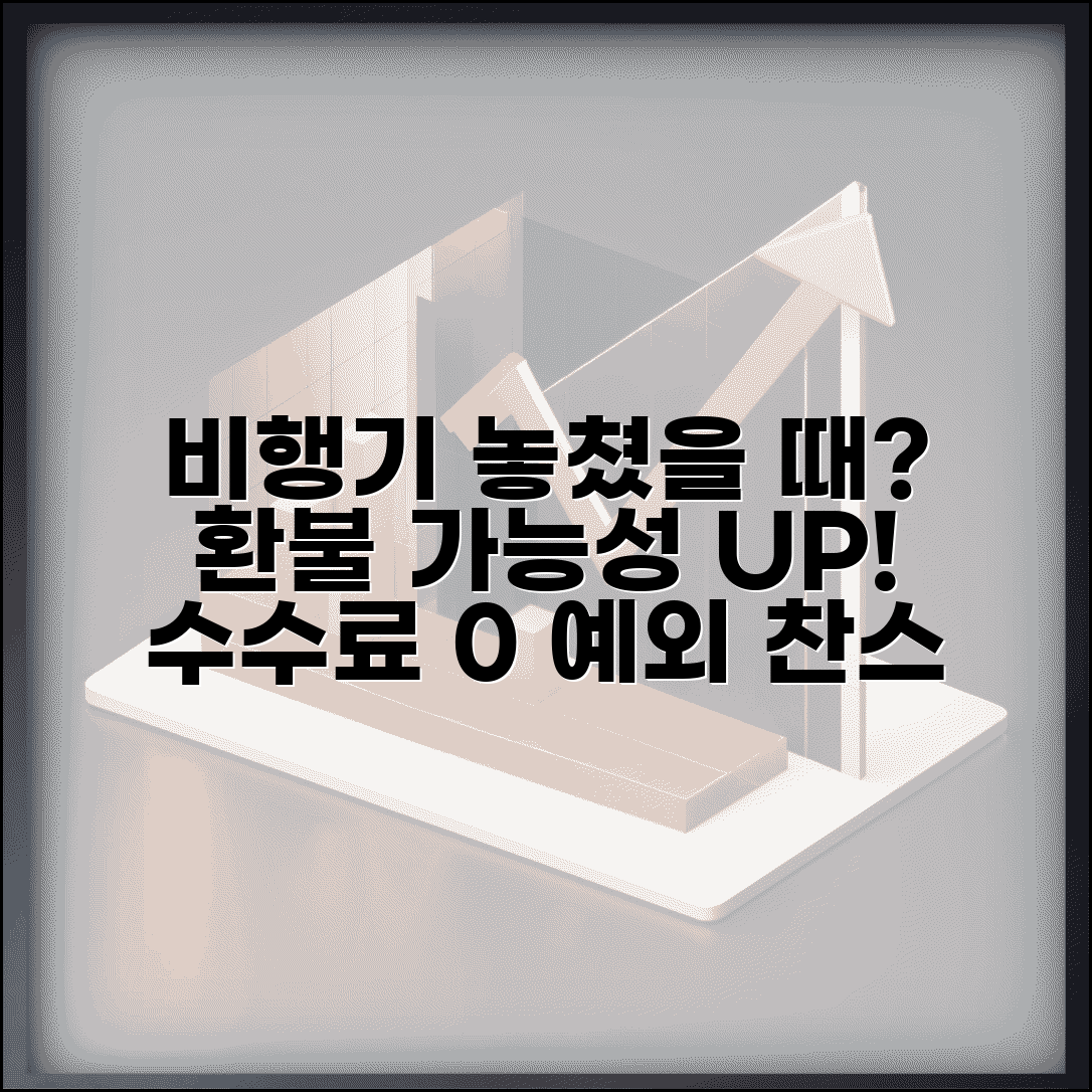 비행기 놓쳤을때 환불 가능성 | 항공료 환불 조건과 수수료 부담하지 않는 예외 상황