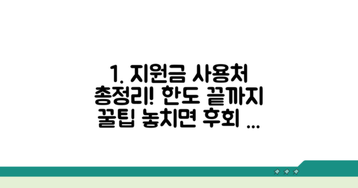 지원금 사용처와 한도 완벽 분석