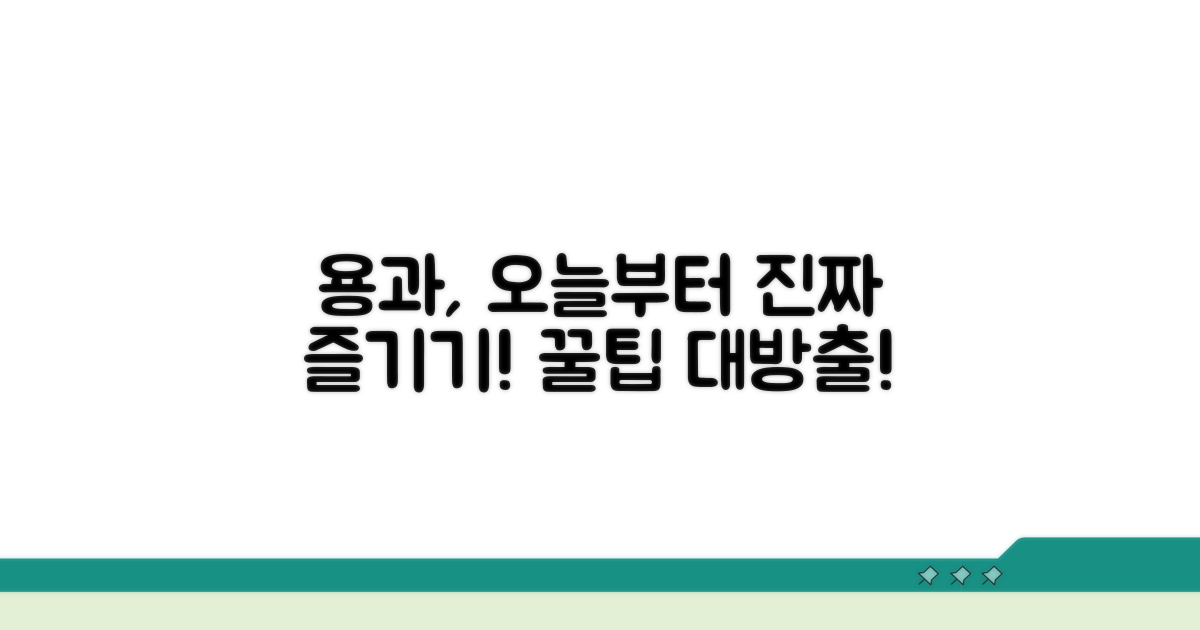 오늘부터 용과 제대로 즐기기