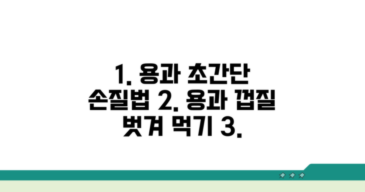 용과 손질부터 섭취까지 쉬운 가이드