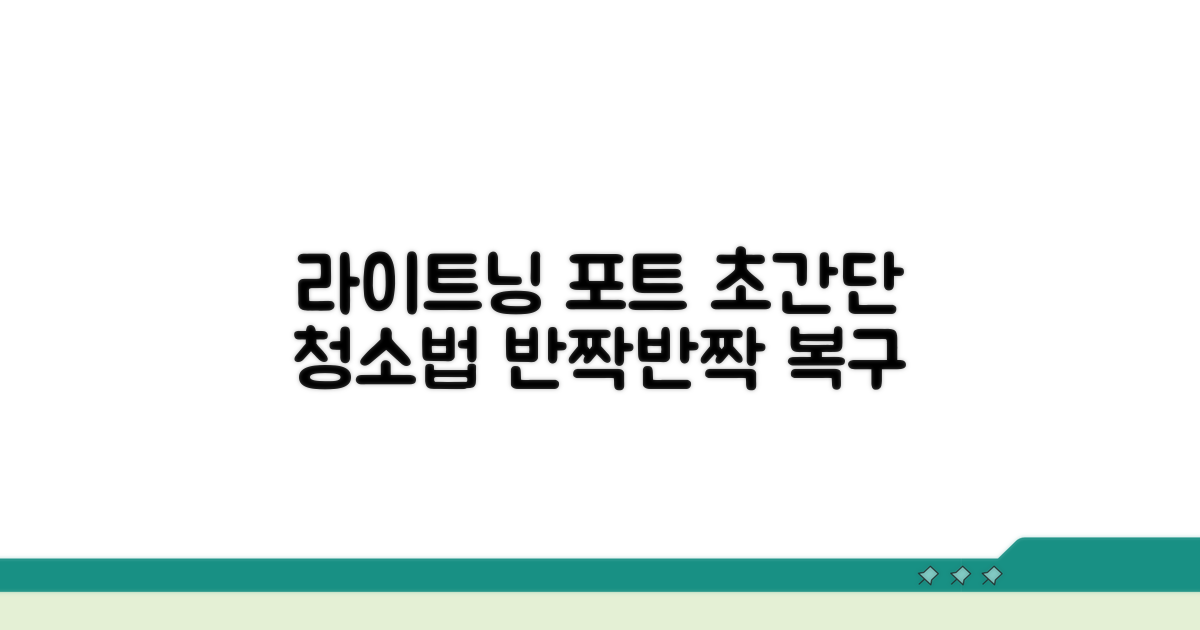 라이트닝 포트 청소 방법