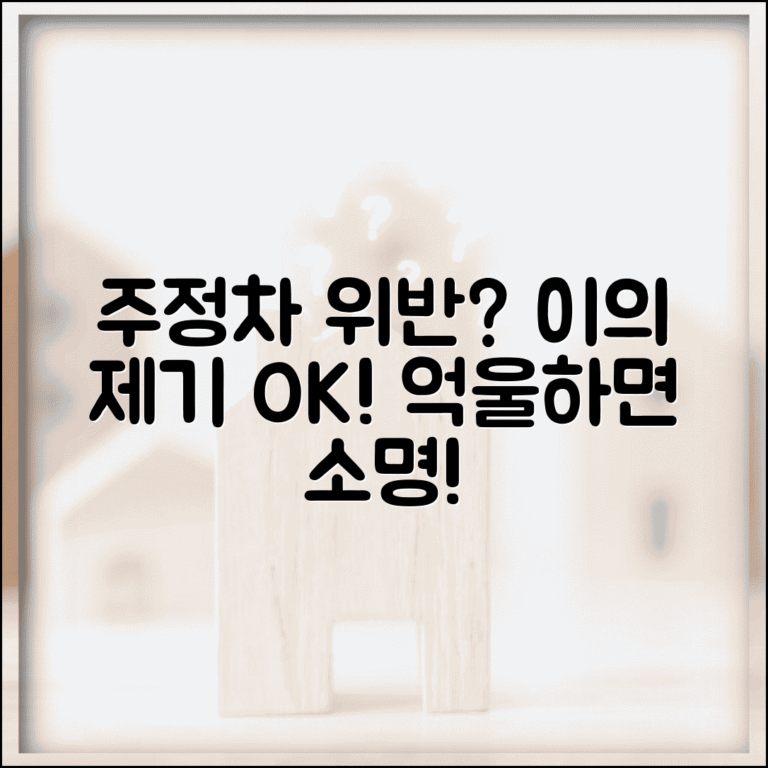 주정차 위반 의견진술서 작성 | 부당한 단속에 대한 이의 제기와 의견 진술 방법