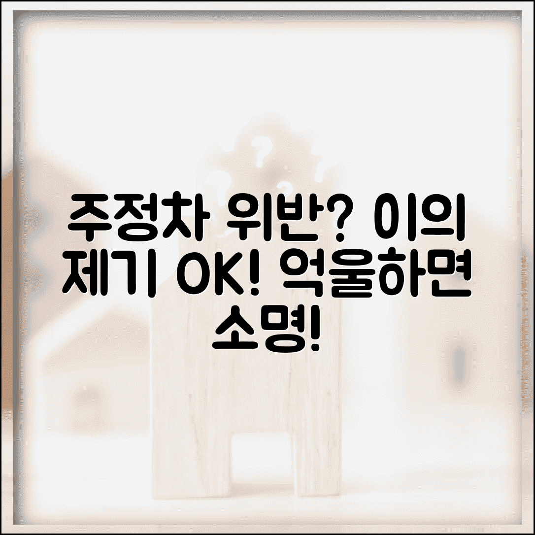 주정차 위반 의견진술서 작성 | 부당한 단속에 대한 이의 제기와 의견 진술 방법