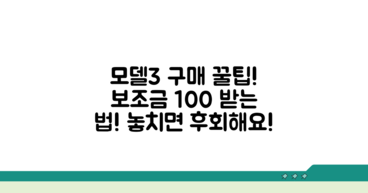 모델3 구매, 보조금 신청 절차 가이드