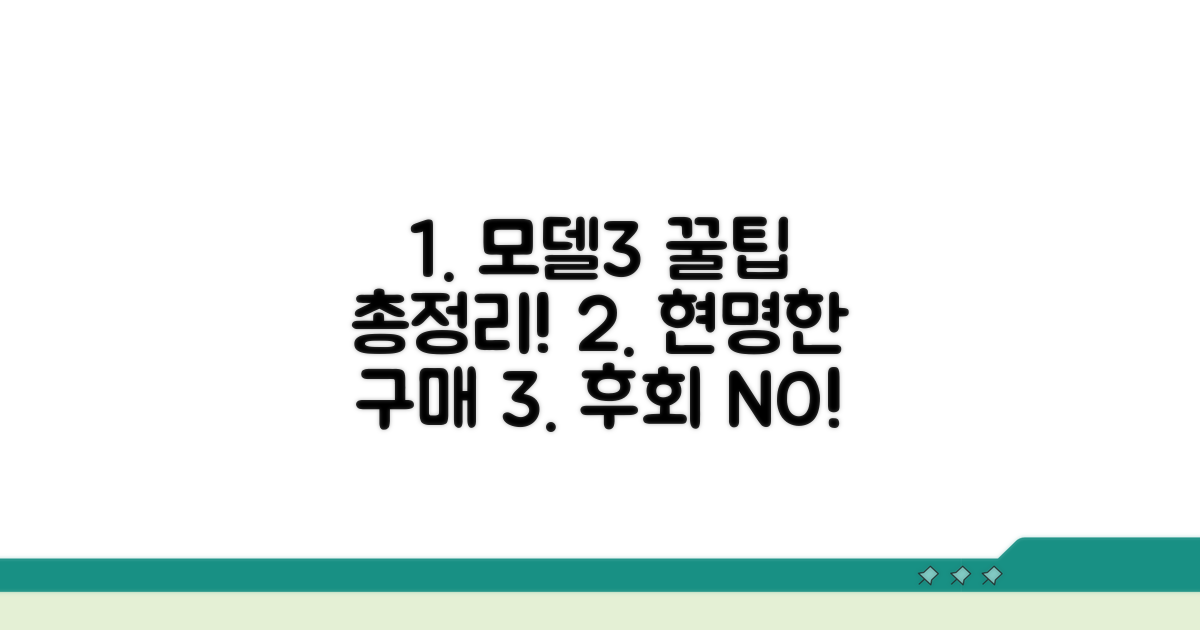 모델3 현명하게 구매하는 꿀팁 모음