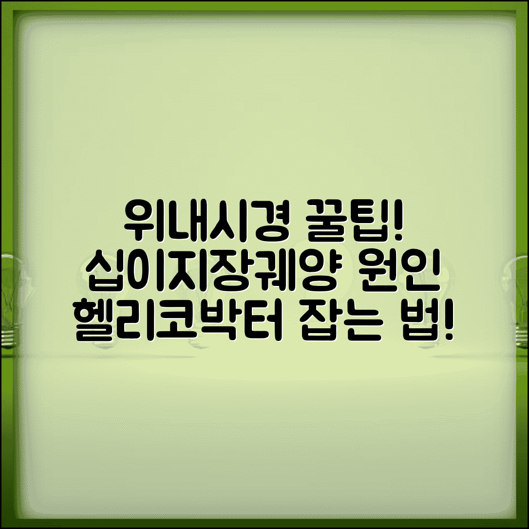 위내시경 십이지장궤양 의미와 원인 | 헬리코박터 치료 및 예방법 총정리