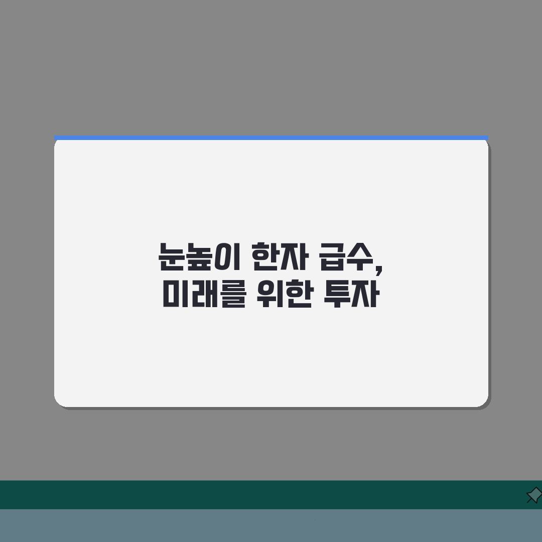 눈높이 한자 급수시험 합격 노하우: 단계별 공부법 A to Z