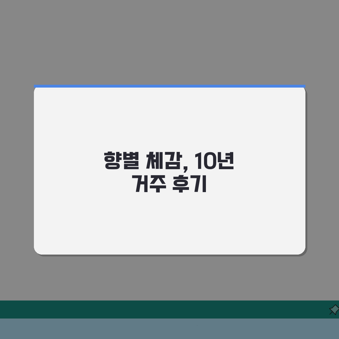 남향 vs 동남향 vs 남서향 10년 거주 후기 | 향별 등급 차이 실거주 체감 심층분석: