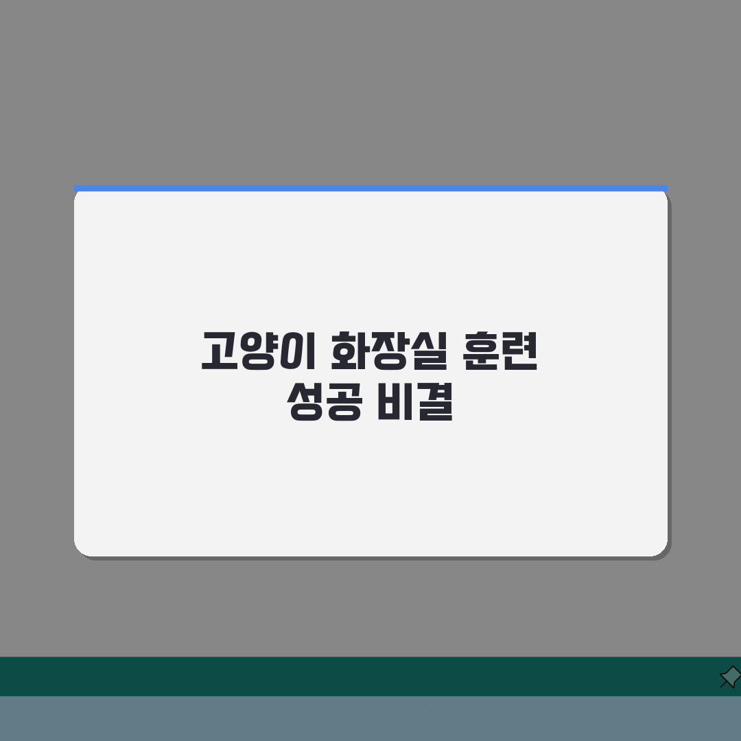 고양이 화장실 훈련 기간 얼마나 | 고양이 배변 교육 기간 총정리: 7일 만에 완성하는 핵