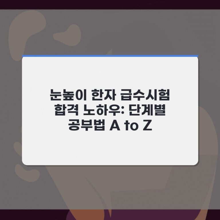 눈높이 한자 급수시험 합격 노하우: 단계별 공부법 A to Z