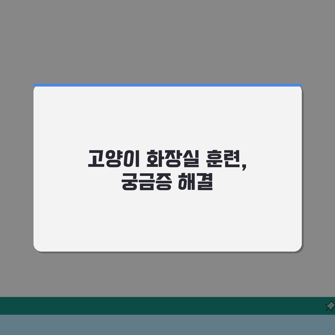 고양이 화장실 훈련 기간 얼마나 | 고양이 배변 교육 기간 총정리: 7일 만에 완성하는 핵